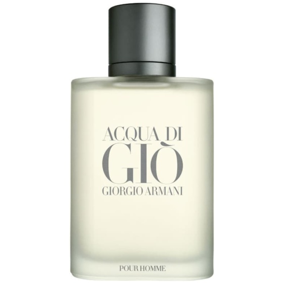 Perfume Masculino Acqua Di Giò Giorgio Armani Eau de Toilette