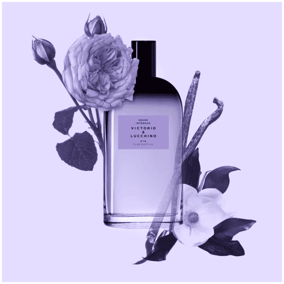 Perfume Feminino Nº 16 Flor Exótica Victorio & Lucchino Eau de Toilette 150ml - Imagem 3