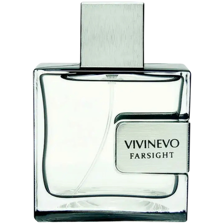 Perfume Masculino Farsight Vivinevo Eau de Toilette 100ml