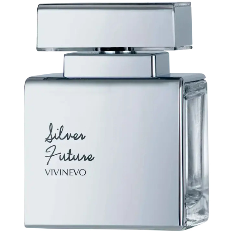 Perfume Masculino Silver Future Vivinevo Eau de Toilette 100ml