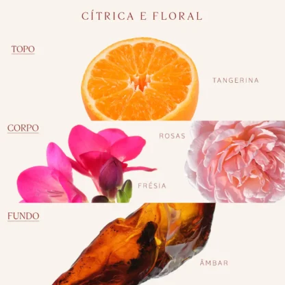 Colônia Tangerina L'Occitane En Provence 300ml - Imagem 2