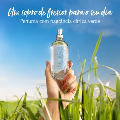 Colônia Capim-Limão L'Occitane Au Brésil 100ml - Imagem 2