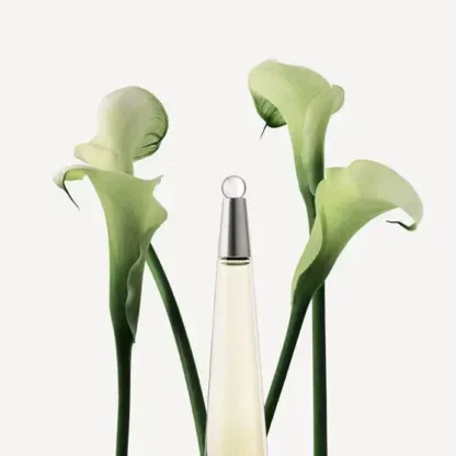 Perfume Feminino L'eau D'issey Issey Miyake Eau de Toilette - Imagem 3