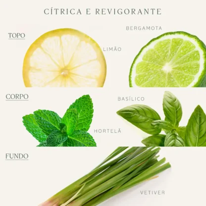 Colônia Bergamota L'Occitane En Provence 300ml - Imagem 2