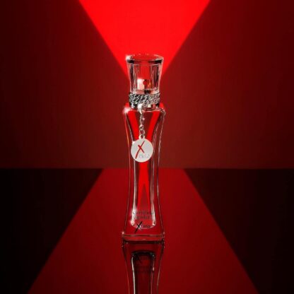 Perfume Feminino Xtina Christina Aguilera Eau de Parfum 30ml - Imagem 3