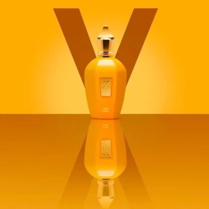 Perfume Compartilhável Erba Gold Xerjoff Eau de Parfum 100ml - Imagem 4