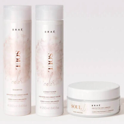 Kit Shampoo 250ml + Condicionador 250ml + Máscara 200g Soul Color Braé