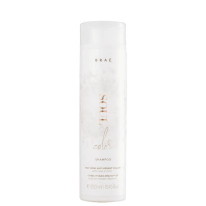 Kit Shampoo 250ml + Condicionador 250ml + Leave-in Essential 260ml Soul Color Braé - Imagem 2